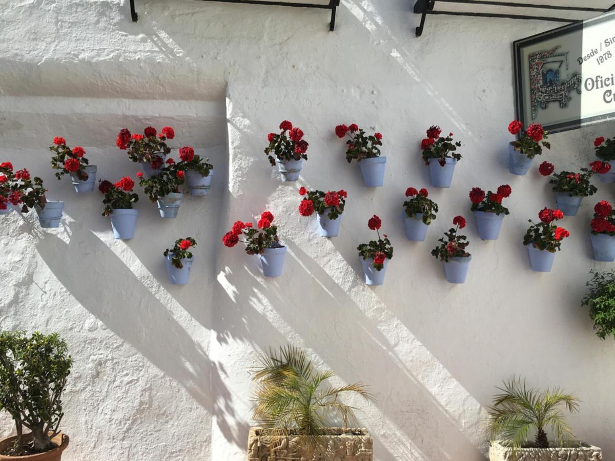 Paris Dream - Torremolinos Apartment Exterior foto